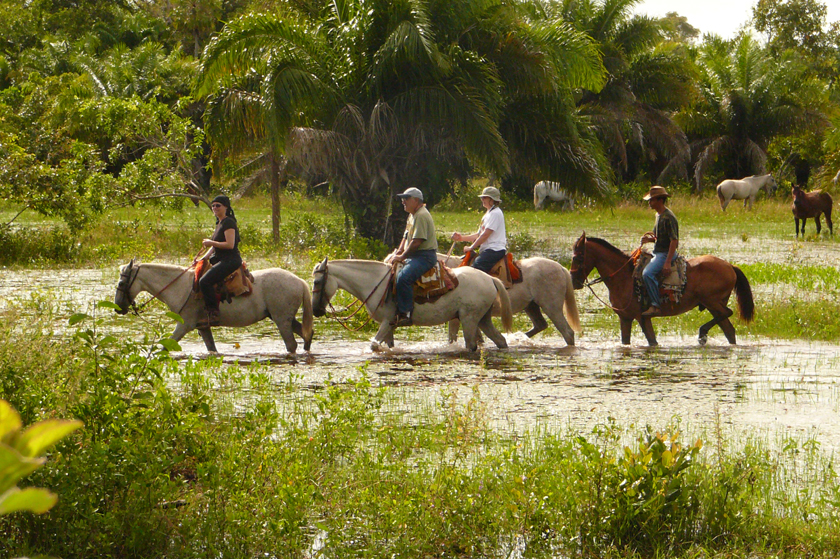 Araras Lodge horseback riding