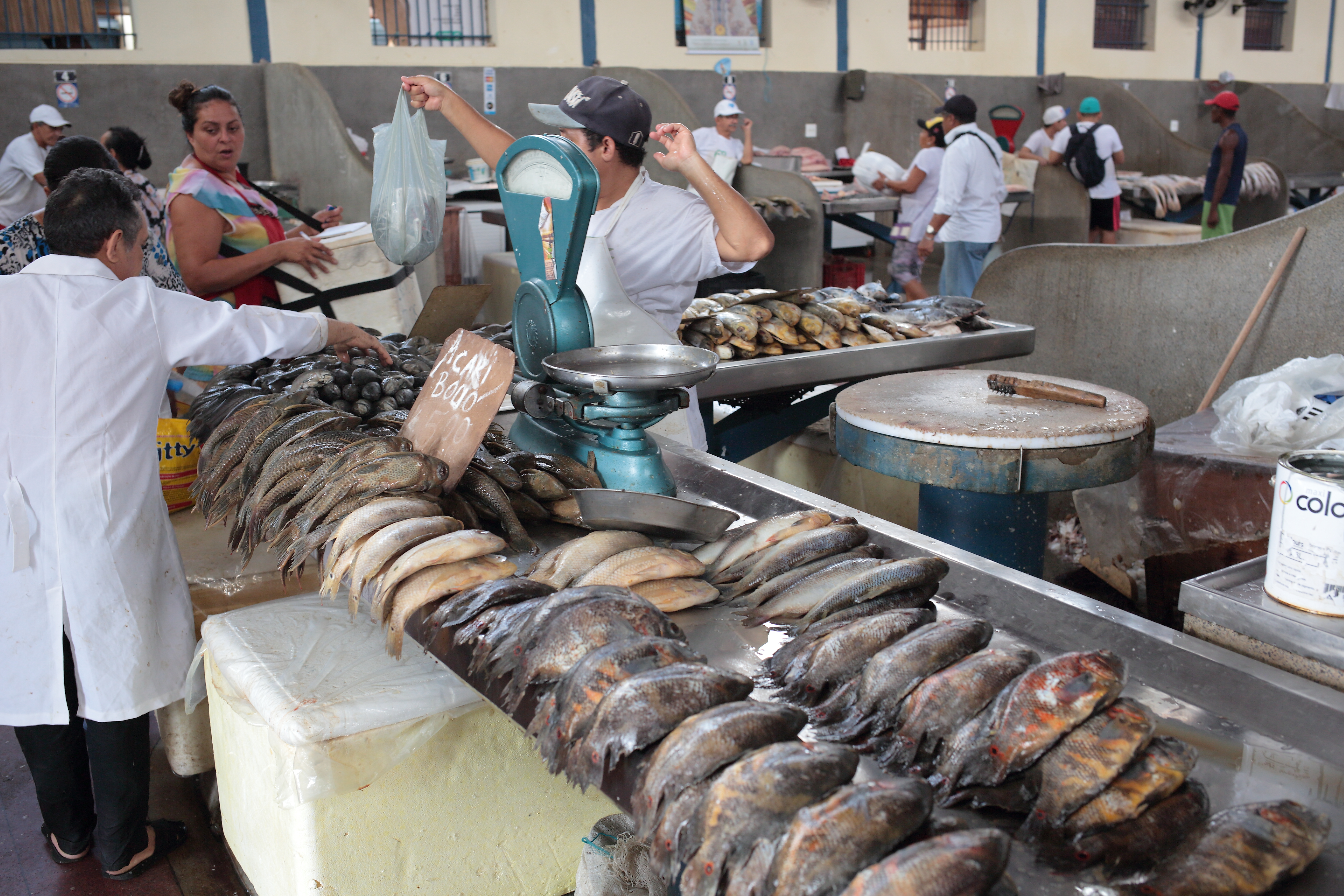 Brazil cuisine culture fish market