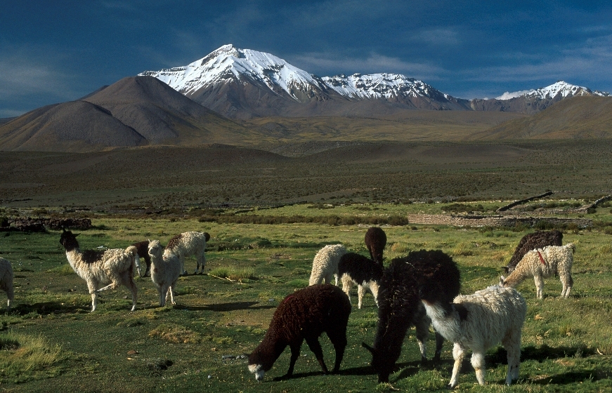 Calama Chile High Desert scenery