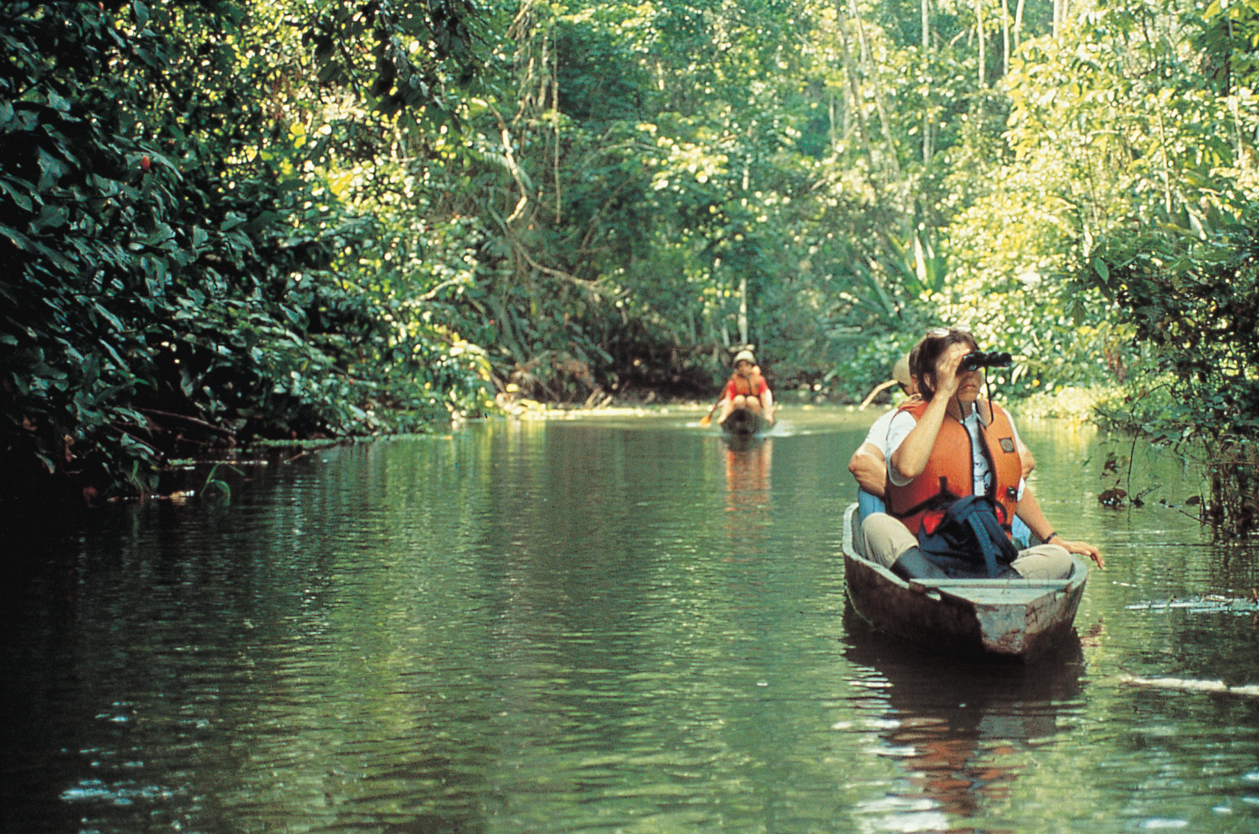Canoeing the Amazon