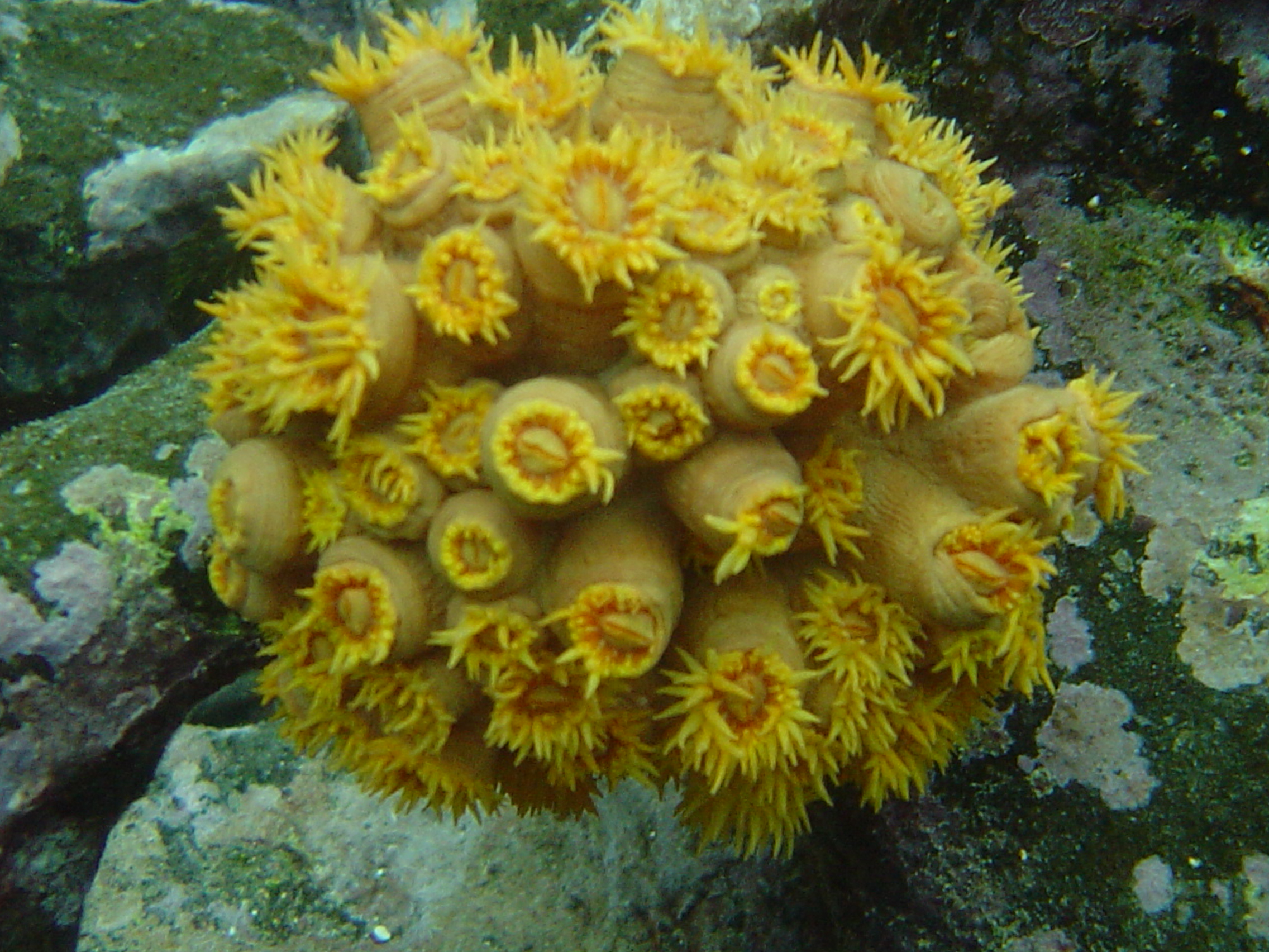 Galapagos Islands snorkeling surprises