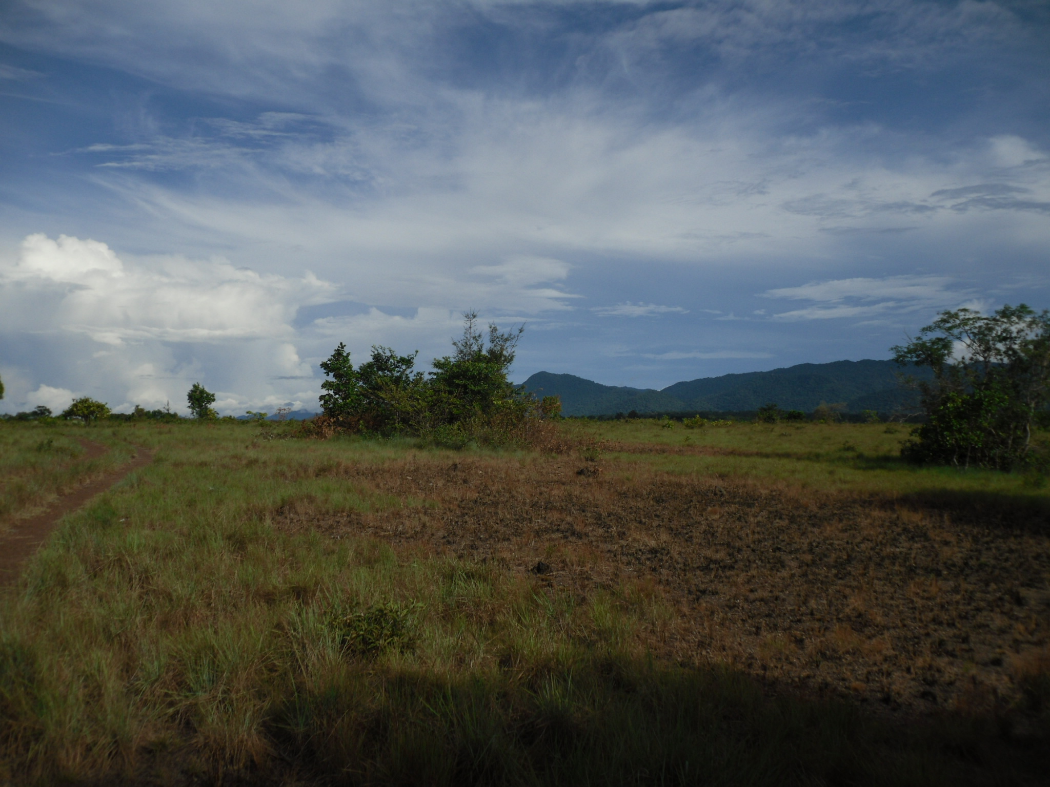 The Savannah region of Guyana