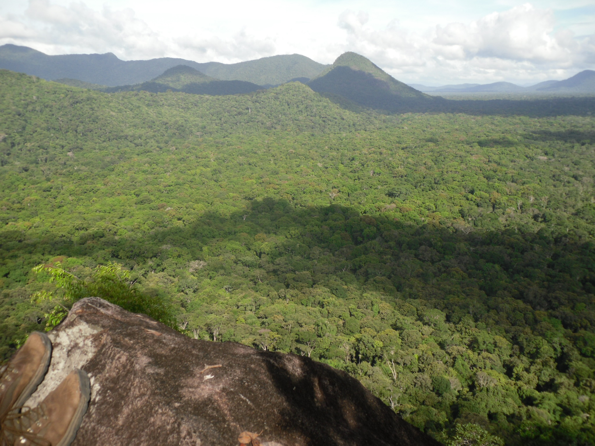 Savannah of Guyana