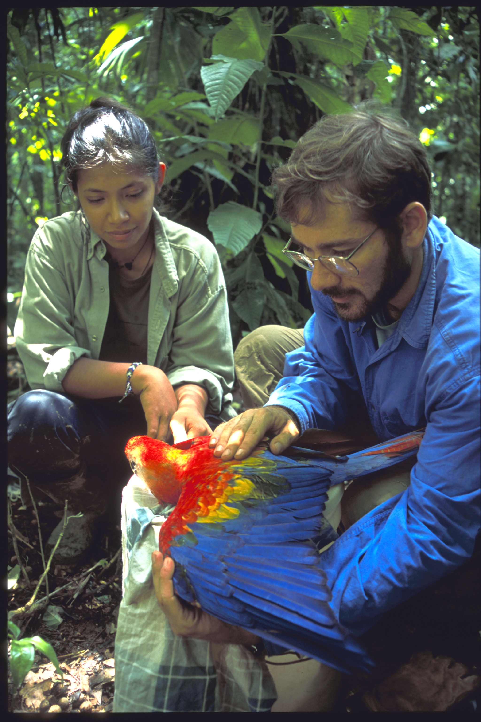 Macaw Researchers in Peru