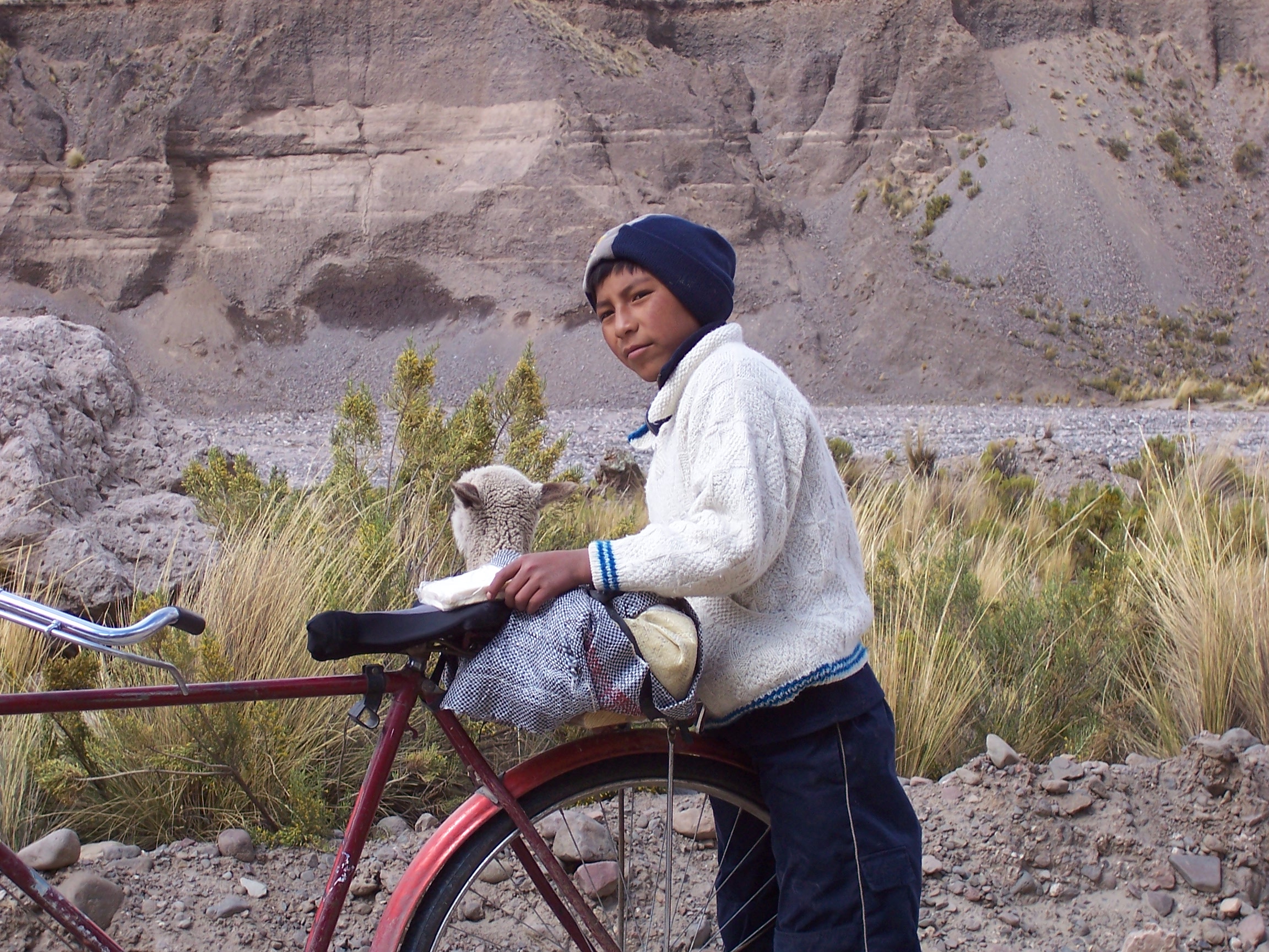 Colca Canyon Peru local transportation