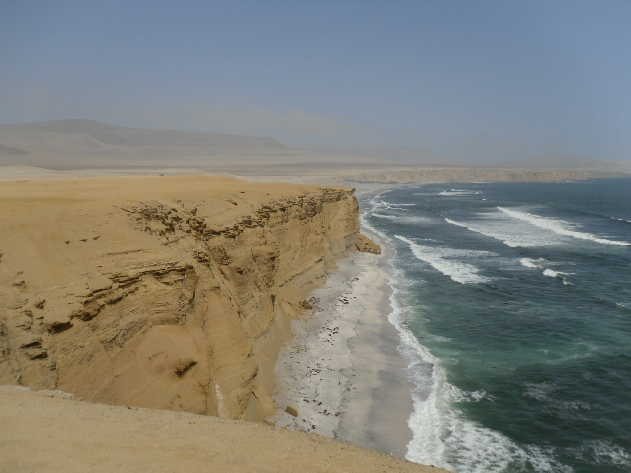 Paracas Reserve Peru