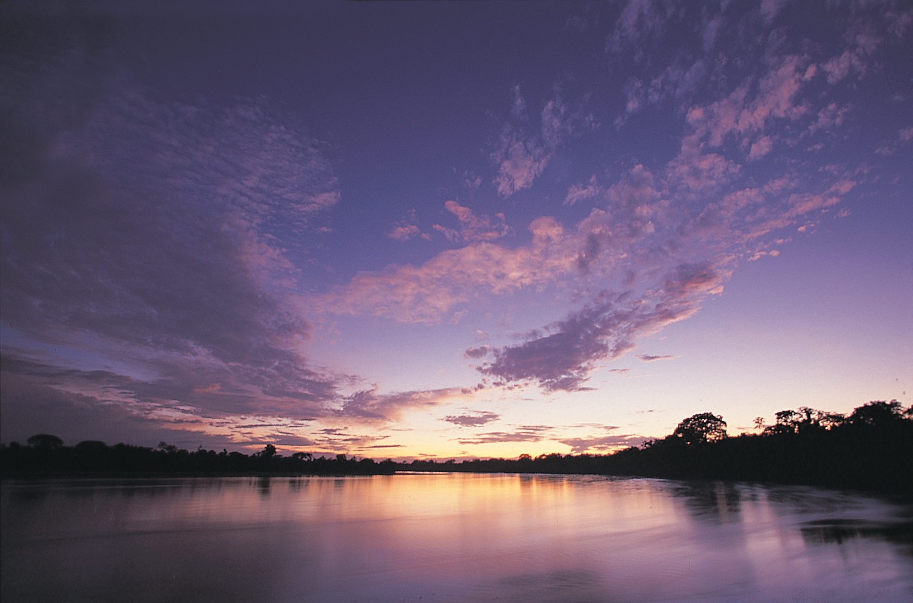 Brilliant Amazon Sunset