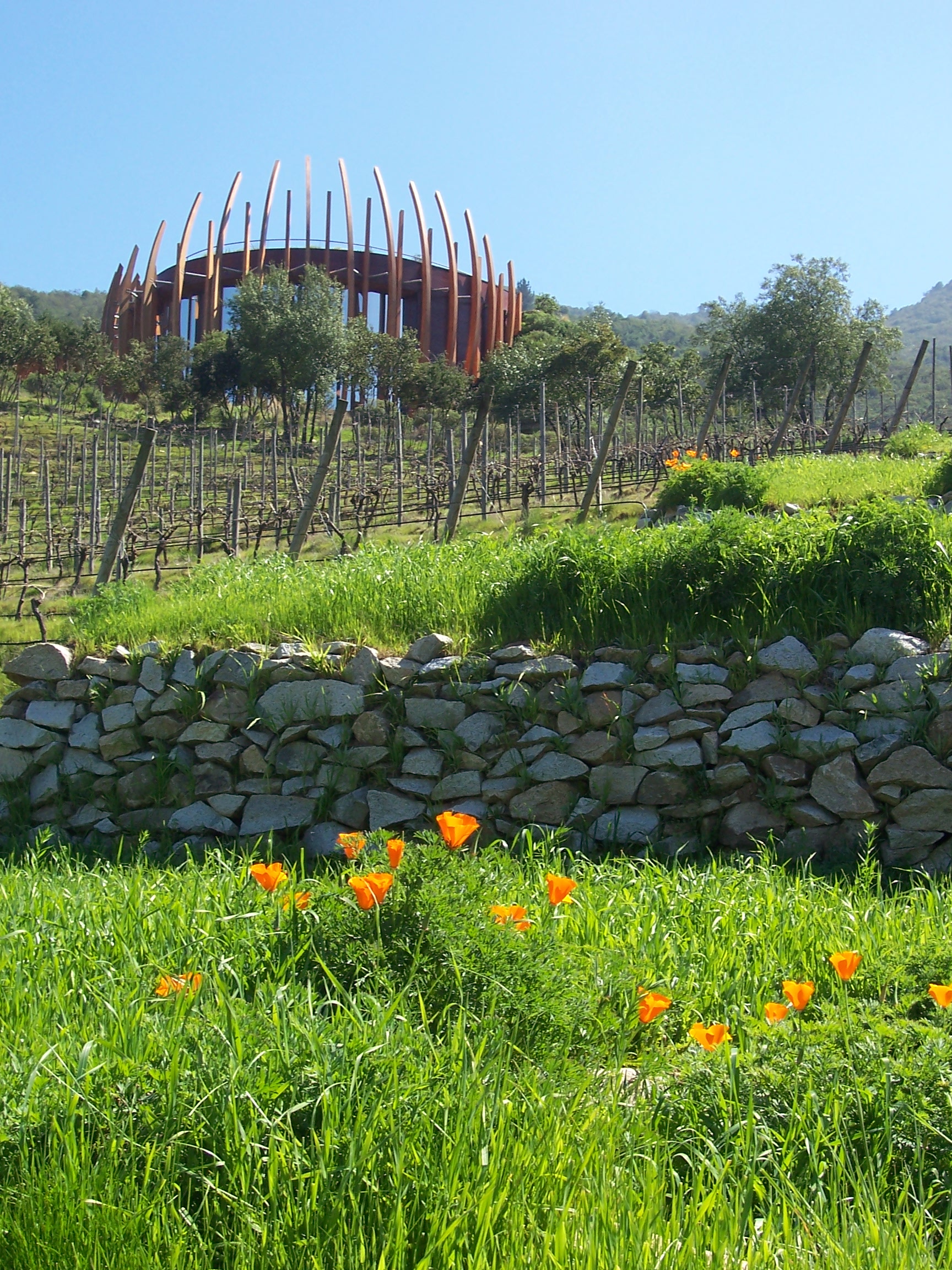 Wine Tasting Colchagua Valley Chile