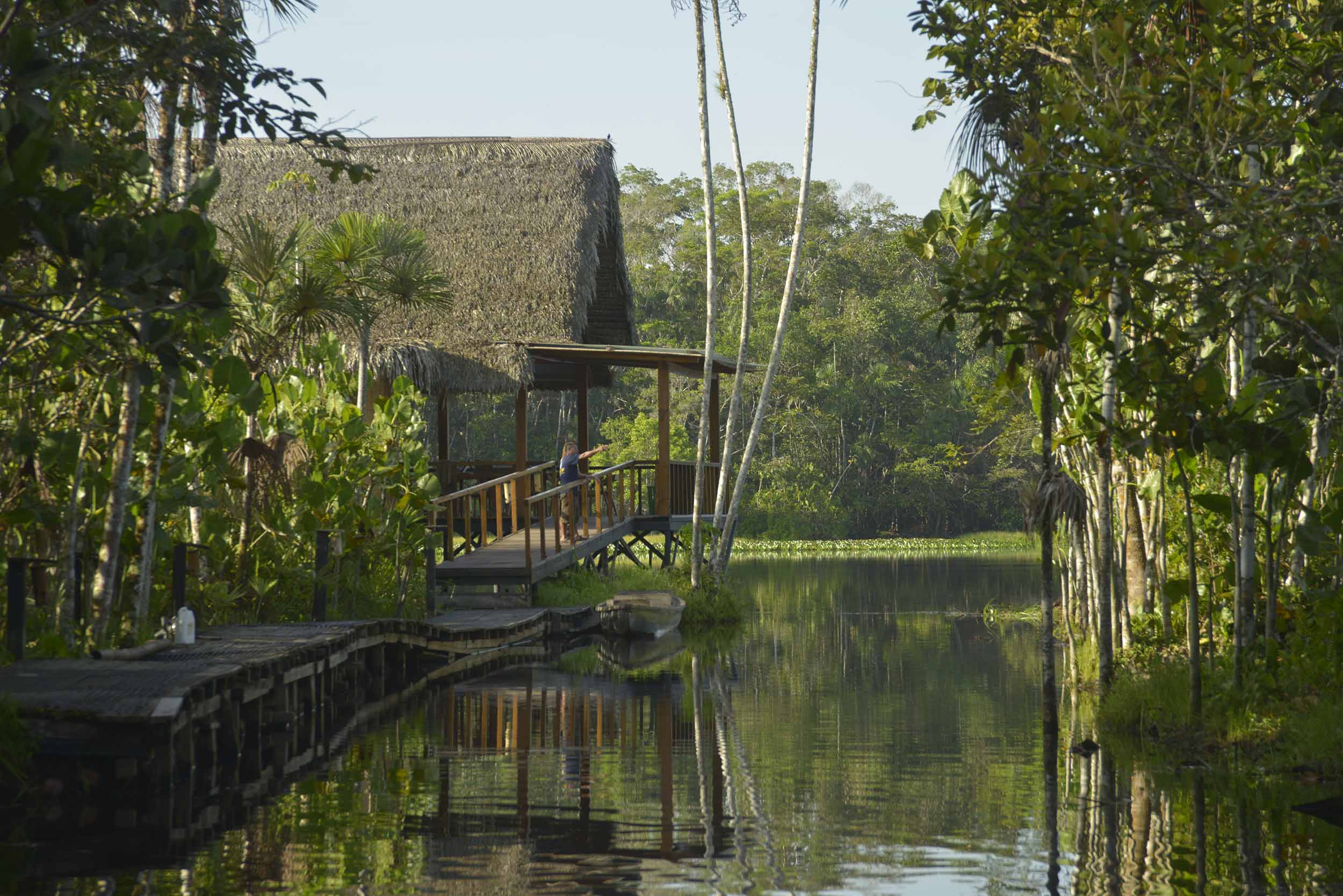 Sacha Lodge Amazon Ecuador