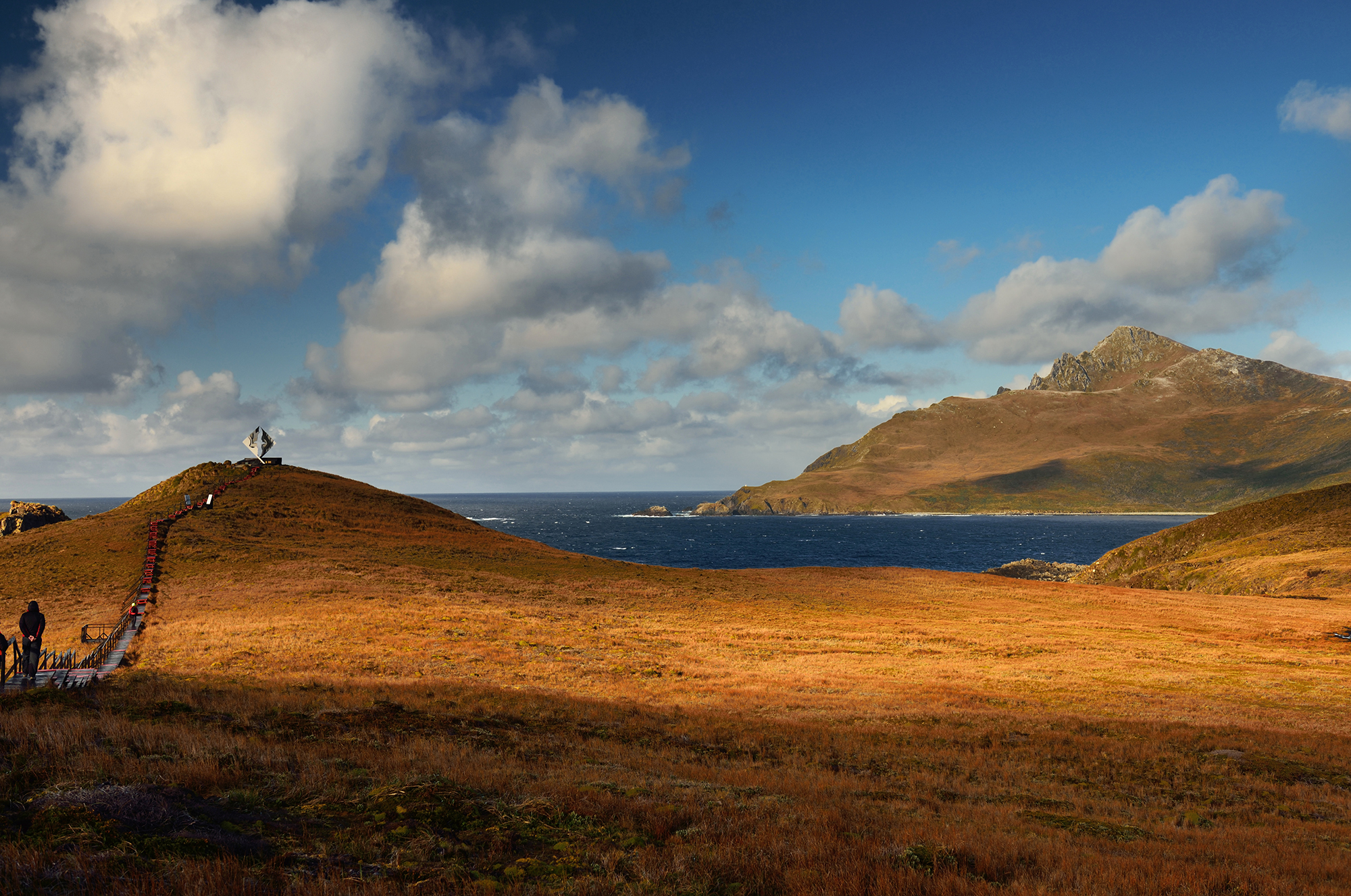 Cape Horn Excursion Australis Cruises