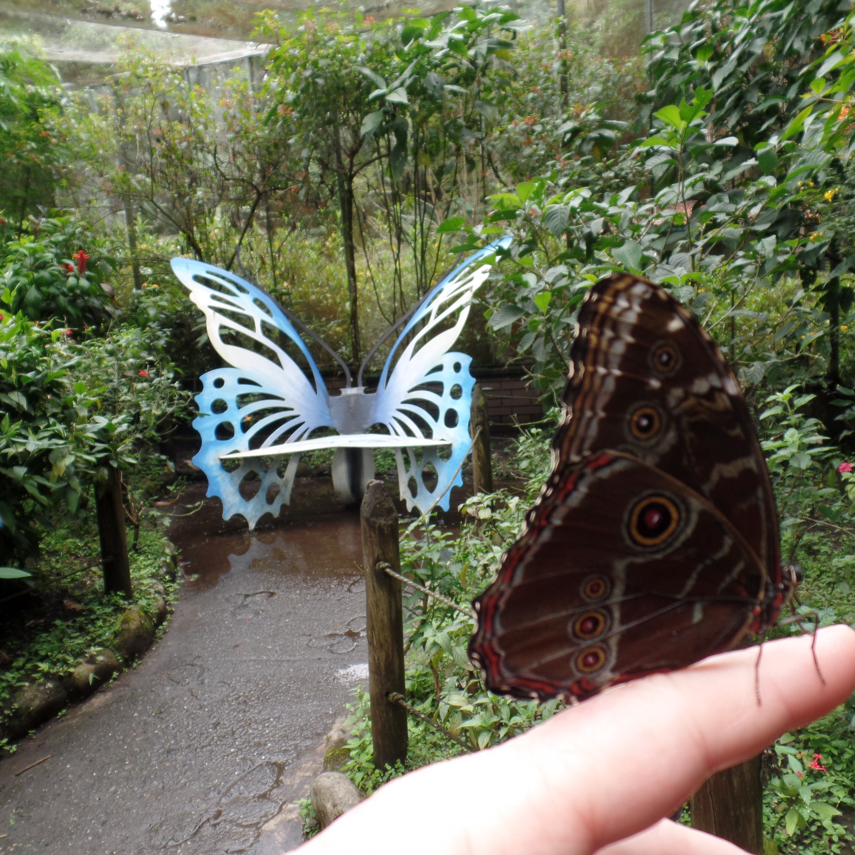 Colombia Experience Botanical Gardens