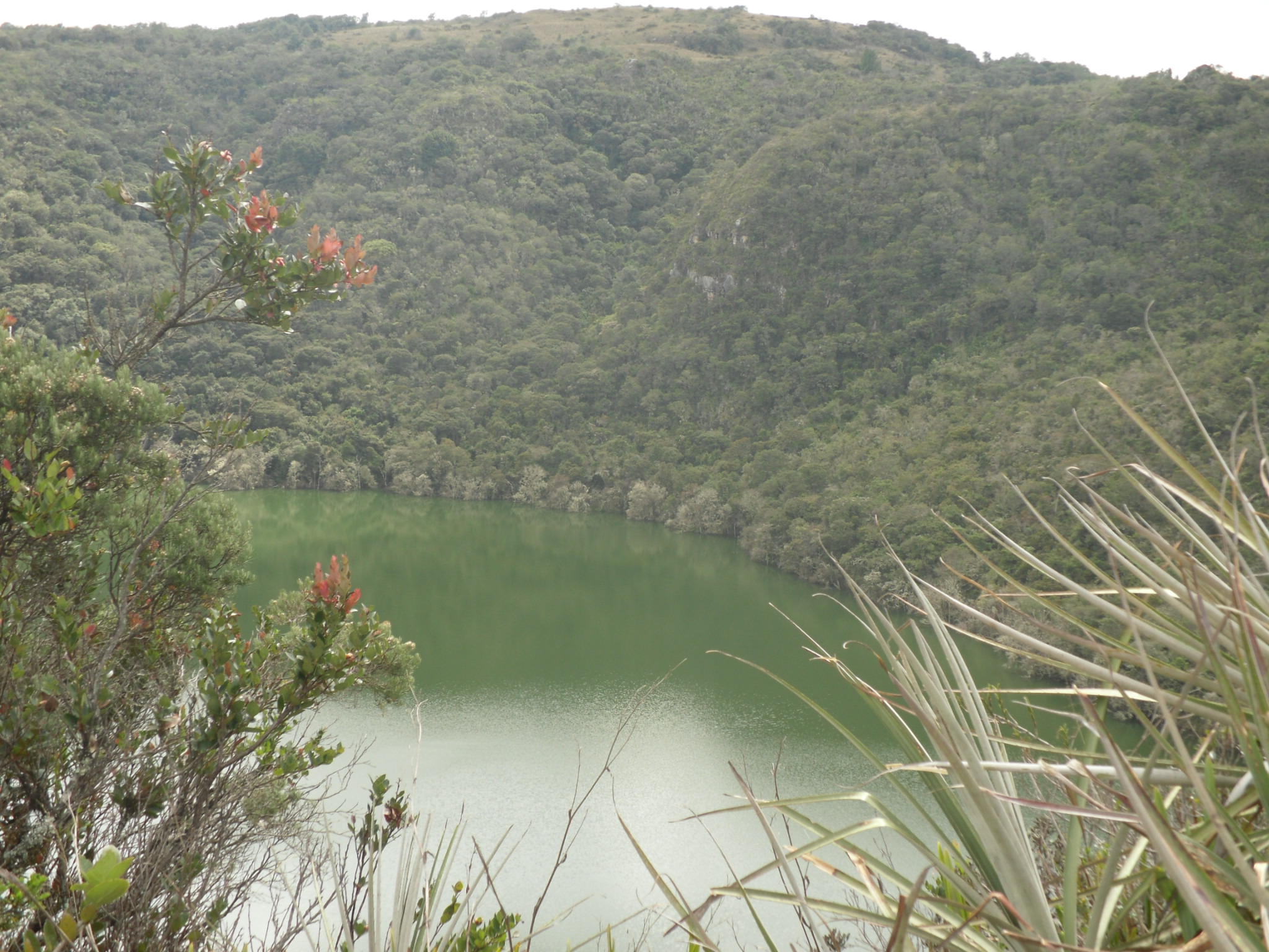 Guatavita Lagoon Colombia
