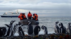 Magdalena Island Australis Cruises