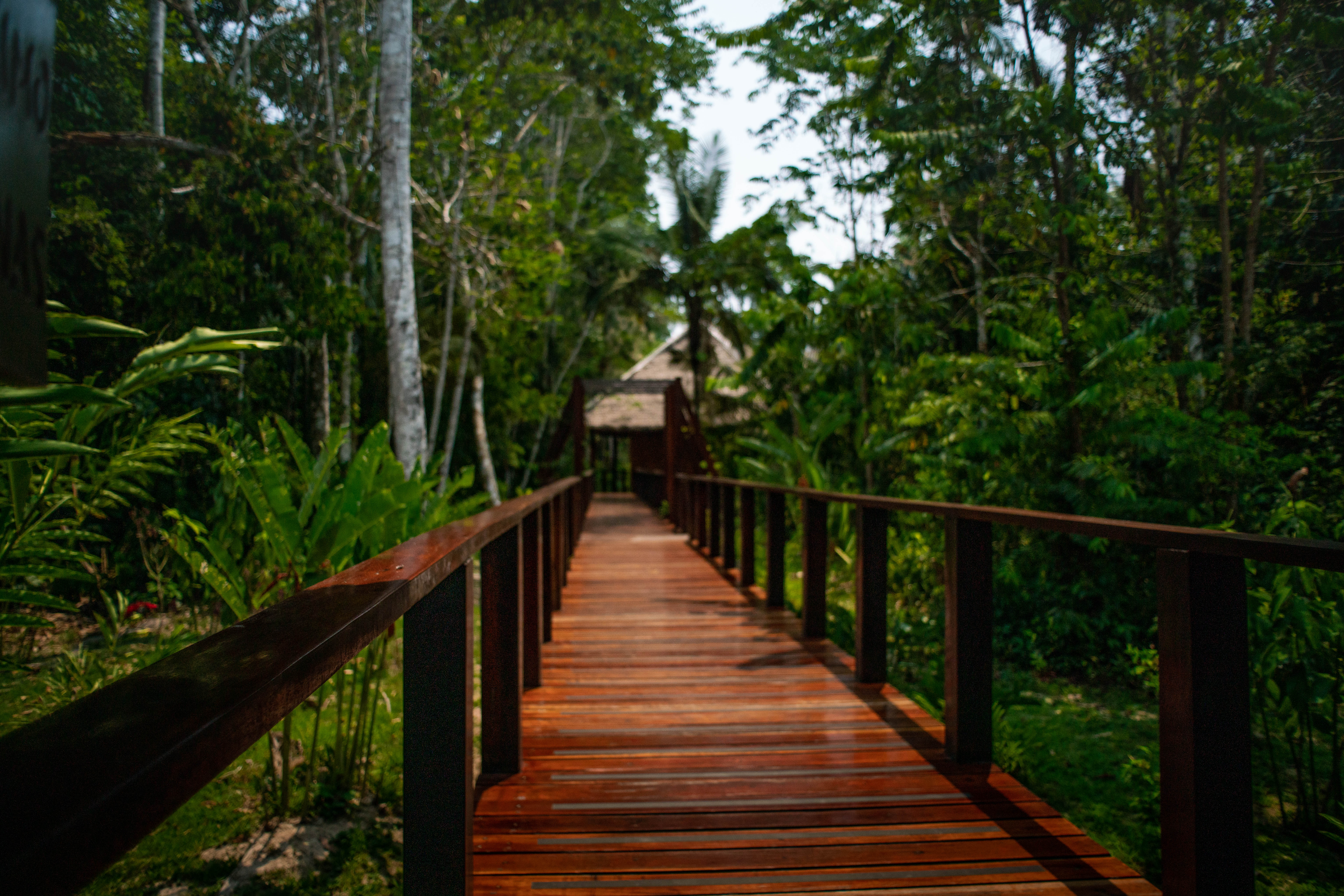 Posada Amazonas Bridges