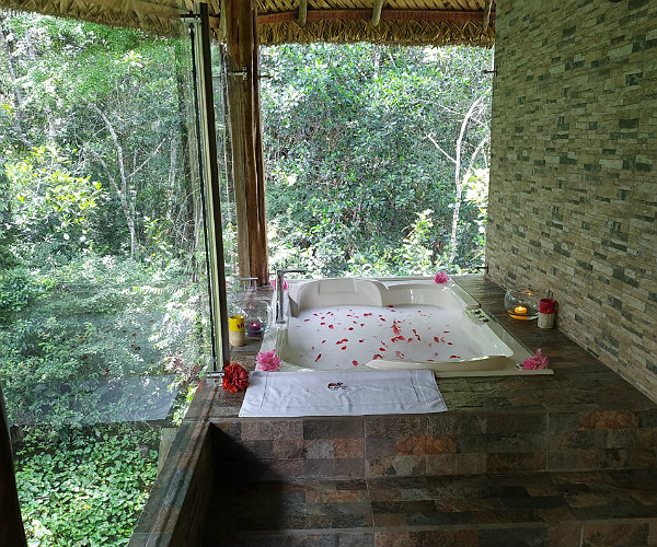 Ecuador Amazon Napo Wildlife Center Suite with jacuzzi