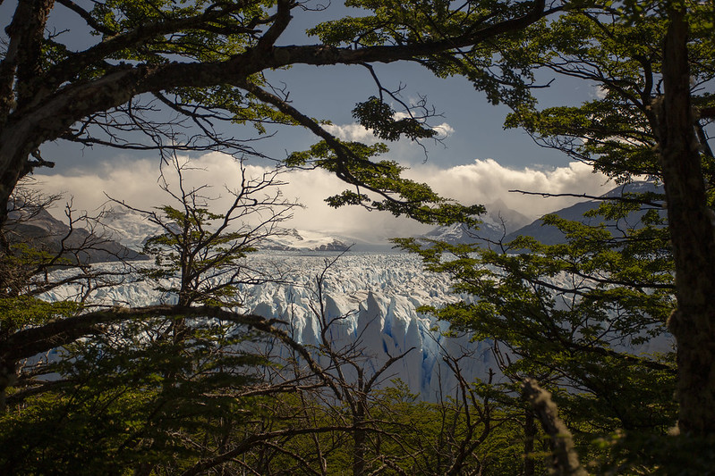 Perito Moreno Glacier Argentina