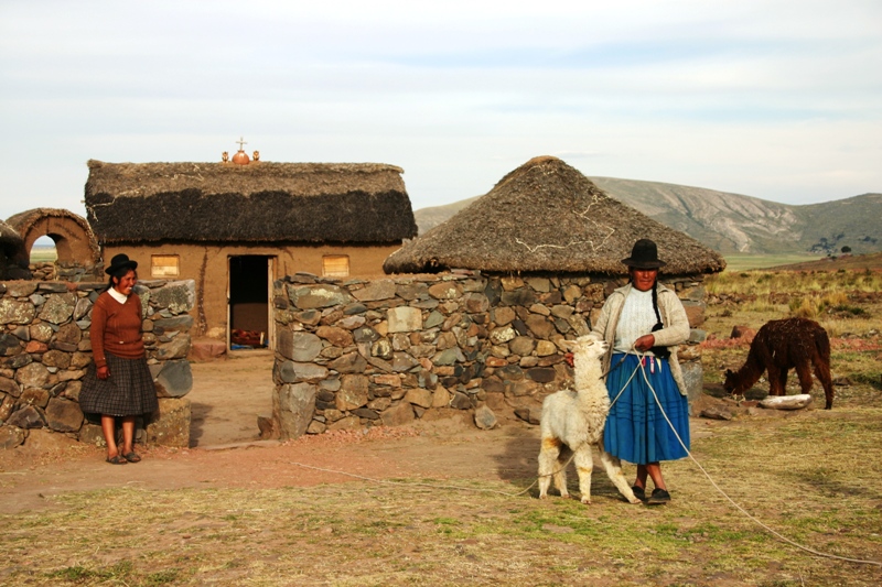 Peru Lake Titicaca and Llamas