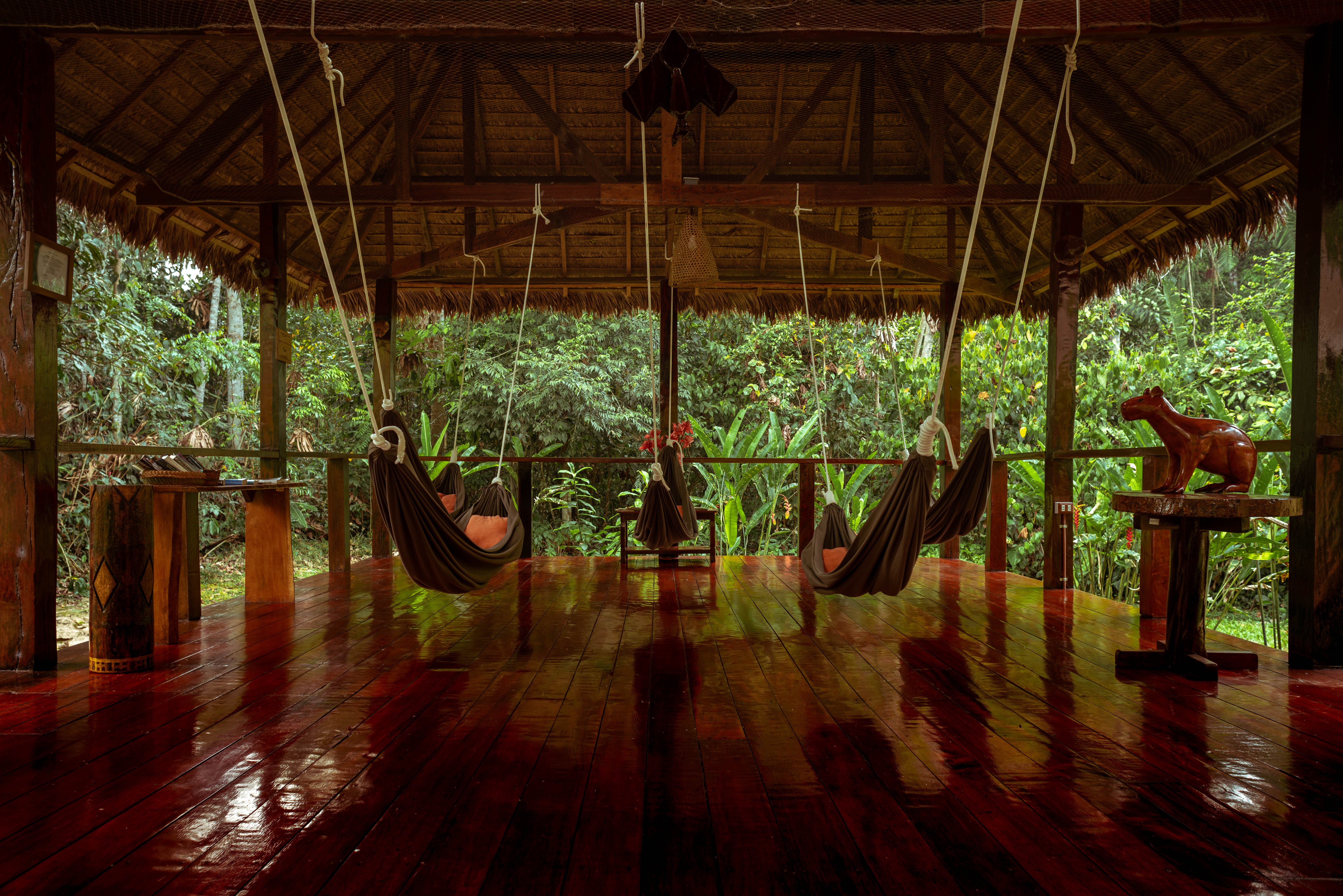 Posada Amazonas Hammock Area