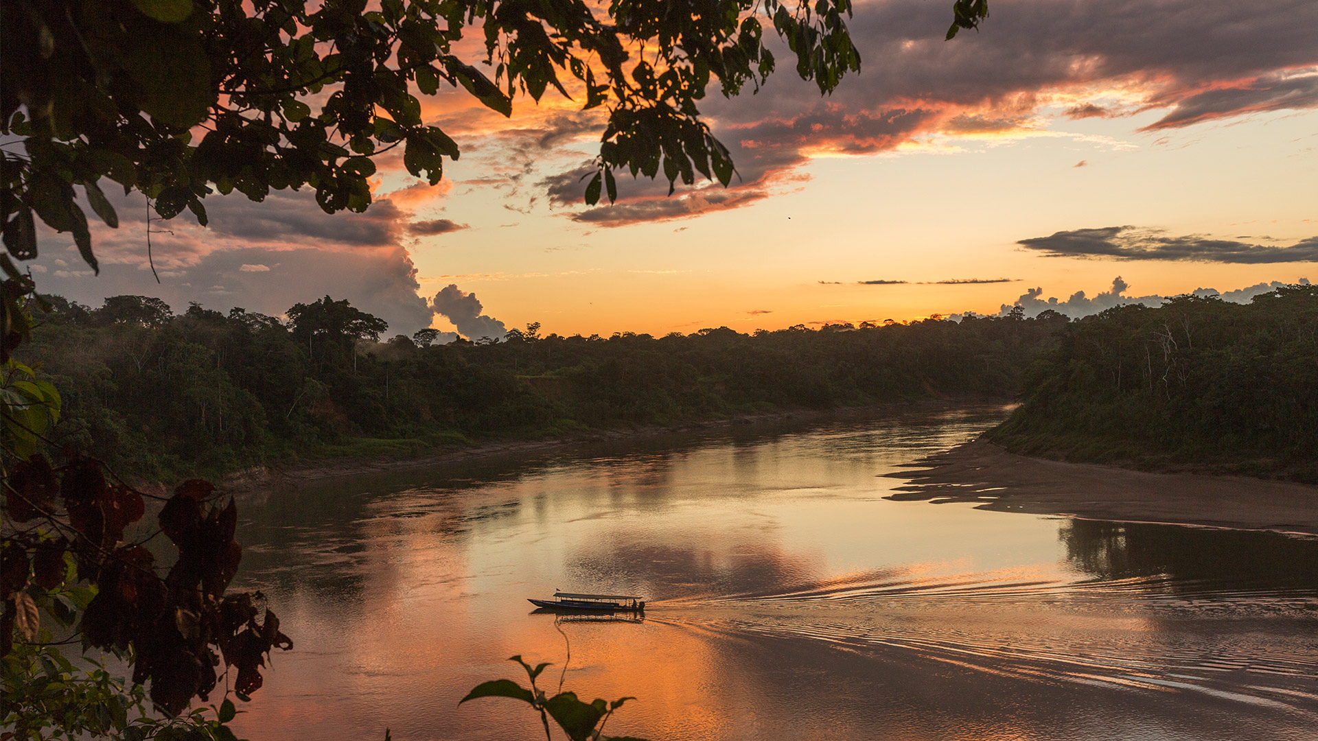 Refugio Amazonas Sunset Cruise