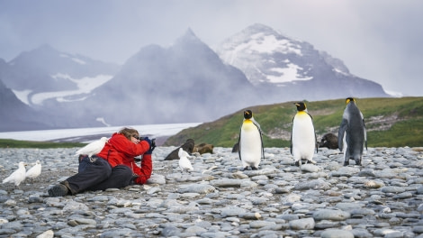 Plancius Antarctica photography