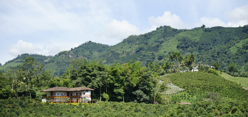 visit coffee plantation colombia